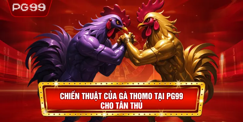 Chiến Thuật Của Gà Thomo Tại PG99 Cho Tân Thủ