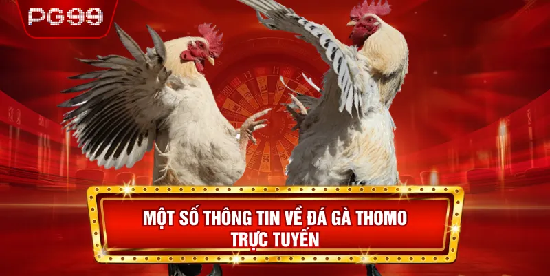 Một Số Thông Tin Về Đá Gà Thomo Trực Tuyến