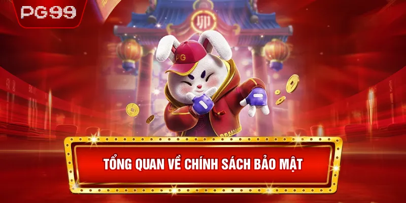 Tổng Quan Về Chính Sách Bảo Mật